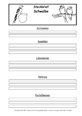 Steckbriefvorlage-Schwalbe.pdf